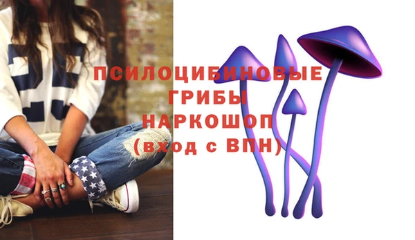 spice Волоколамск