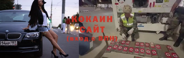 спайс Вяземский
