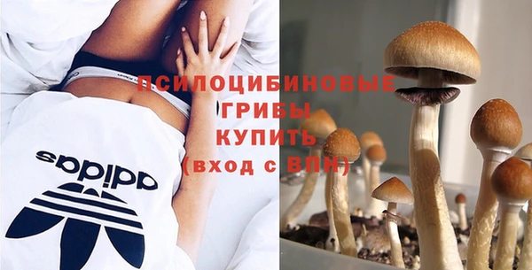 экстази Вязьма