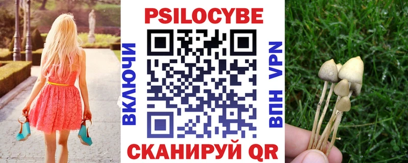 Купить закладки  Кувандык  Галлюциногенные грибы Psilocybine cubensis 